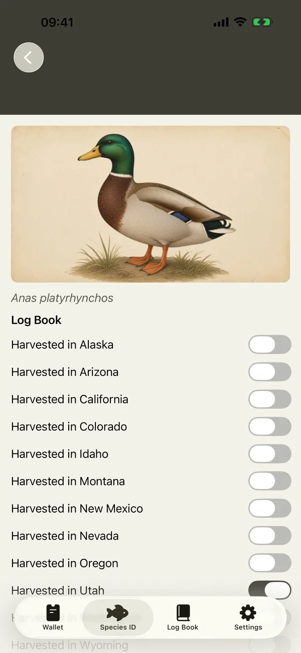 Mallard waterfowl species card